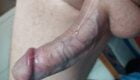Estas son imagenes de mi pene en ereccion