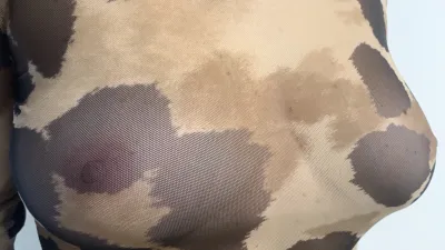 Transparencias de gata salvaje y traviesa